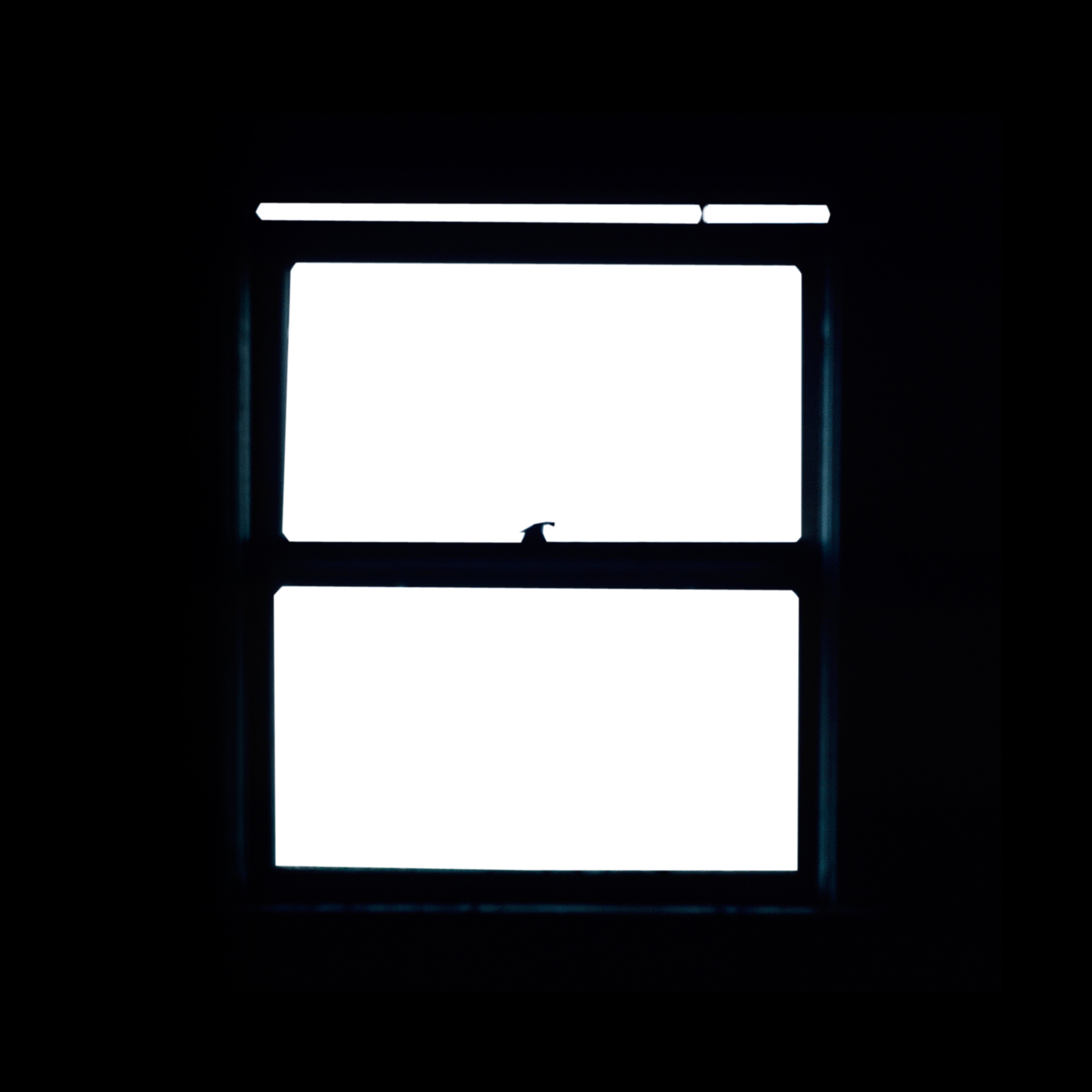 TVImage